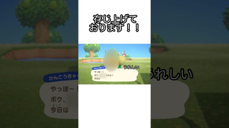 【あつ森】あのキャラがついに登場！！嬉しいけど…