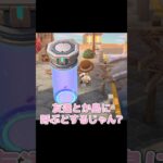 ばいようポッドってなんか欲しくなるよね…【あつ森】