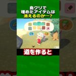 島クリで埋めたアイテムは消えるのか？【あつ森】