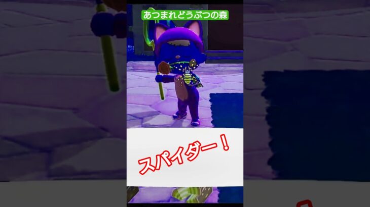 【#あつ森 】スパイダーキャッチ！【#あつまれどうぶつの森 】