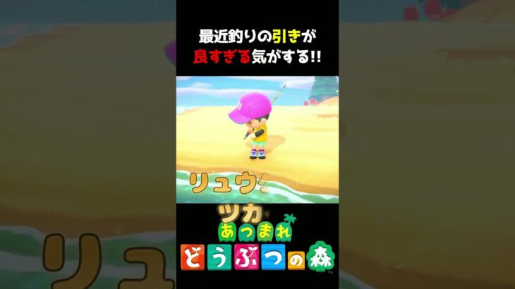 【あつ森】リュウグウノツカイでっか～!!