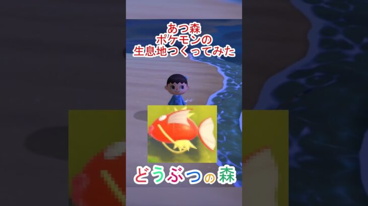 あつ森でぽこあポケモンのとある場所を作ってみた！【あつまれどうぶつの森】#あつ森 #あつまれどうぶつの森