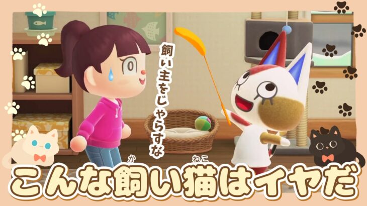 【あつ森アニメ】こんな飼いネコはイヤだ！【あつまれどうぶつの森】