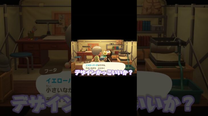 【あつ森】フータの新事実発覚！?