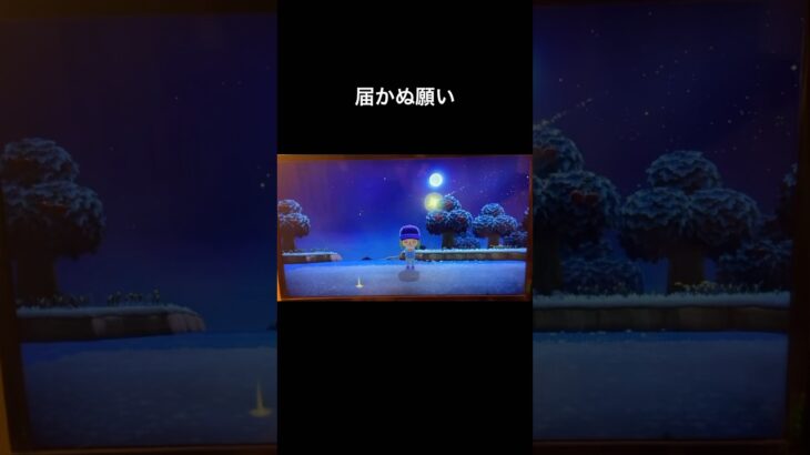 届かぬ願い#あつまれどうぶつの森#あつ森