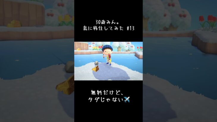 #あつ森初心者 #あつ森 #あつまれどうぶつの森 #あつ森ライフ #のんびり #始まってるよ