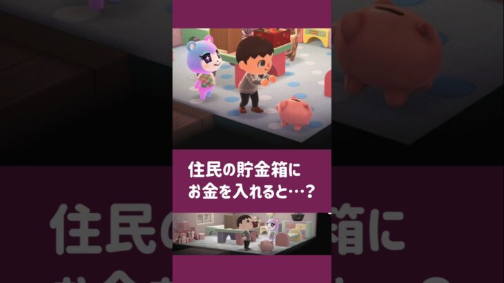 【あつ森】住民の貯金箱にお金を入れると……【小ネタ】【あつまれ どうぶつの森】#あつ森 #あつまれどうぶつの森