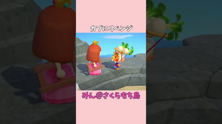 【あつ森】カブにリベンジ！のはずが…？