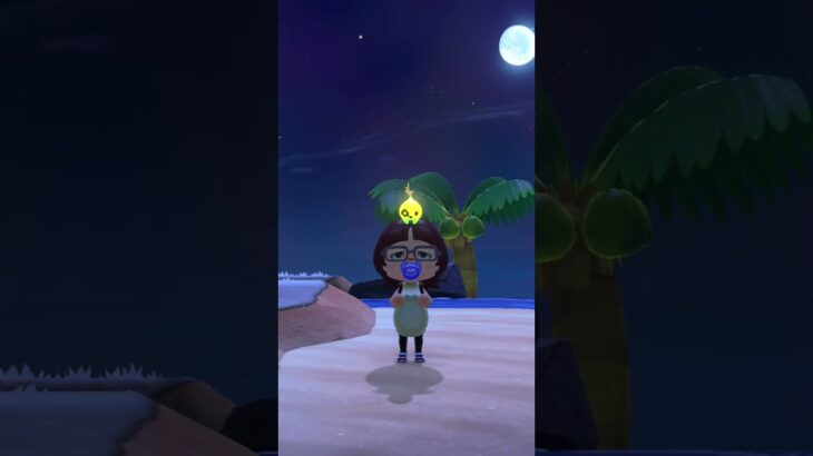 あつ森日記　星のかけらほしさにひたすら願いごとをする　#あつまれどうぶつの森 #願い事#ほしのかけら