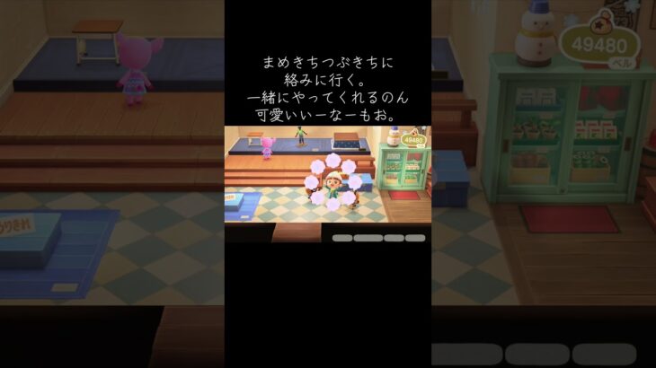 あつ森♡ まめきち〜つぶきち