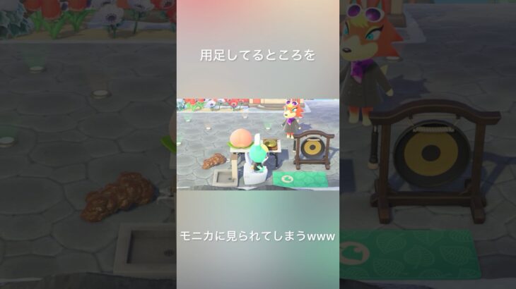 【あつ森】ミッチェルのトイレシーンをモニカに見られてしまう