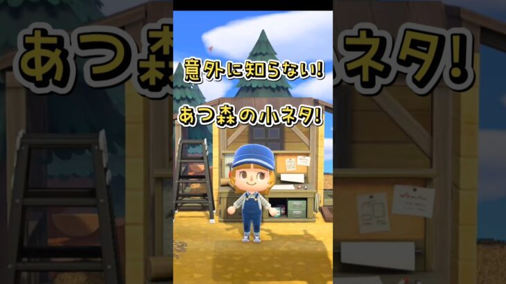 【あつ森】意外に知らない！小ネタ！ #あつ森 #ゲーム #あつまれどうぶつの森