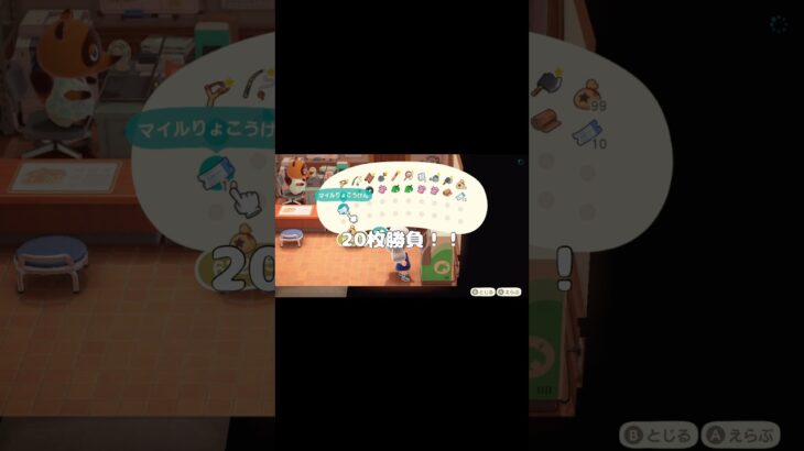 【あつ森】うさぎしか興味ない離島ガチャ@u@user-lightnestあつ森 #あつまれどうぶつの森