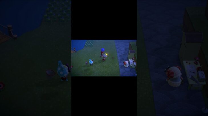 【あつ森】捕獲成功か否か  #あつまれどうぶつの森  #あつ森ちゃちゃまる  #あつ森vlog