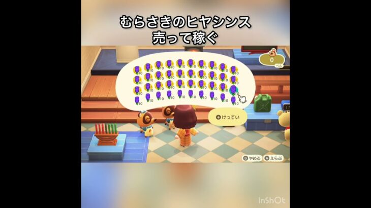【あつ森】ヒヤシンス売ったらいくらかな〜？　　#vlog #あつ森 #あつまれどうぶつの森 #こはくちゃんねる2424