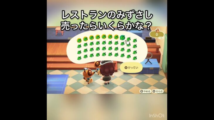 【あつ森】レストランのみずさし売ったらいくらかな？　#vlog #あつ森 #あつまれどうぶつの森 #こはくちゃんねる2424