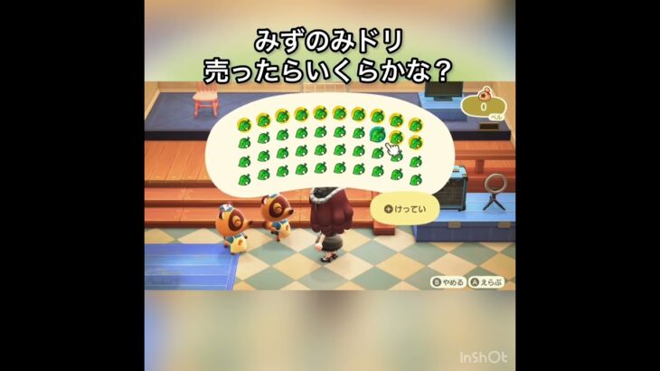 【あつ森】みずのみドリ売ったらいくらかな？　#vlog #あつ森 #あつまれどうぶつの森 #こはくちゃんねる2424
