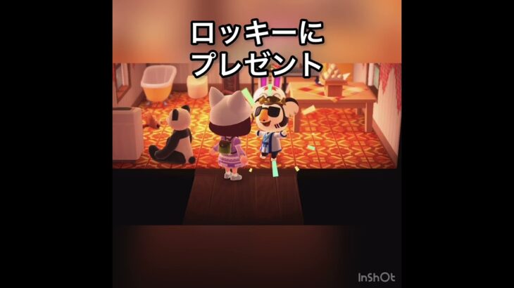 【あつ森】ロッキー君にプレゼント　#vlog #あつ森 #あつまれどうぶつの森 #こはくちゃんねる2424