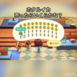 【あつ森】ホタルイカ売ったらいくらかな？　#vlog #あつ森 #あつまれどうぶつの森 #こはくちゃんねる2424