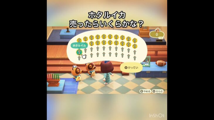 【あつ森】ホタルイカ売ったらいくらかな？　#vlog #あつ森 #あつまれどうぶつの森 #こはくちゃんねる2424