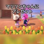 【あつ森】マリリンちゃんにプレゼント　#vlog #あつ森 #あつまれどうぶつの森 #こはくちゃんねる2424