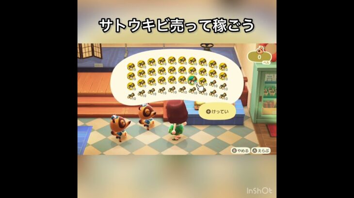 【あつ森】サトウキビ売ったらいくらかな？　#vlog #あつ森 #あつまれどうぶつの森 #こはくちゃんねる2424  初心者　おすすめ　 #毎日更新　毎日更新中