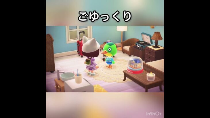 【観光客　あつ森ホテル】今日のお客様はジーニョ様　#vlog #あつ森 #あつまれどうぶつの森 #こはくちゃんねる2424