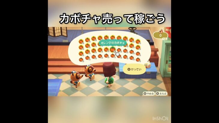 【あつ森】カボチャ売ったらいくらかな？　#vlog #あつ森 #あつまれどうぶつの森 #こはくちゃんねる2424   #毎日更新　毎日更新中　