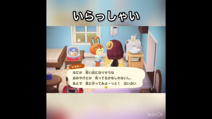 【観光客　あつ森ホテル】今日のお客様はビネガー様　#vlog #あつ森 #あつまれどうぶつの森 #こはくちゃんねる2424   #毎日更新　毎日更新中