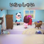 【観光客　あつ森ホテル】今日のお客様はチャウヤン様　#vlog #あつ森 #あつまれどうぶつの森 #こはくちゃんねる2424  #毎日更新　毎日更新中