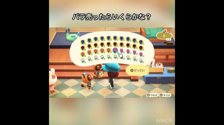 【あつ森】青のバラ、紫、ピンク、白いバラ売ったらいくらかな？　#vlog #あつ森 #あつまれどうぶつの森 #こはくちゃんねる2424   #毎日更新　毎日更新中　 金を稼ぐ