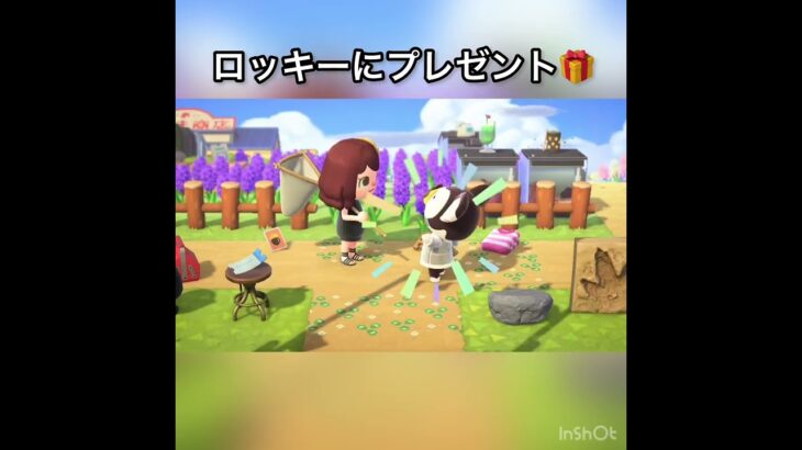 【あつ森】ロッキープレゼント　#vlog #あつ森 #あつまれどうぶつの森 #こはくちゃんねる2424   #毎日更新　毎日更新中