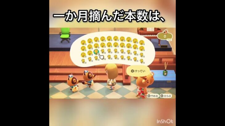 【あつ森】一か月金バラだけ摘んだらいくら稼げる？　#vlog #あつ森 #あつまれどうぶつの森 #こはくちゃんねる2424