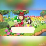 【あつ森】ホウサクとロッキーの会話　#vlog #あつ森 #あつまれどうぶつの森 #こはくちゃんねる2424   #毎日更新　毎日更新中　 金を稼ぐ