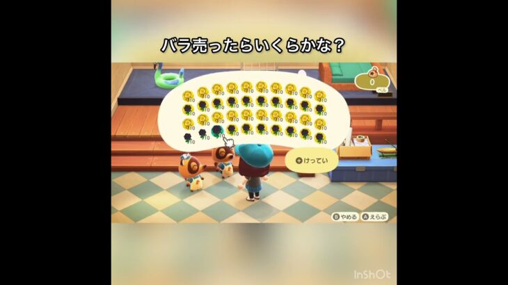 【あつ森】金のバラ黒バラ売ったらいくらかな？　#vlog #あつ森 #あつまれどうぶつの森 #こはくちゃんねる2424   #毎日更新　毎日更新中　 金を稼ぐ