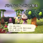 【あつ森】パンタにプレゼント　#vlog #あつ森 #あつまれどうぶつの森 #こはくちゃんねる2424   #毎日更新　毎日更新中　