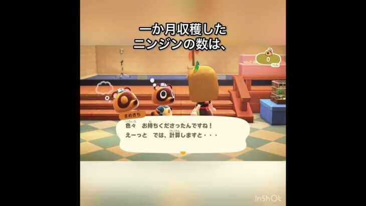【あつ森】ニンジンの結果　一か月野菜だけ収穫したらいくら稼げる？　#vlog #あつ森 #あつまれどうぶつの森 #こはくちゃんねる2424   #毎日更新　毎日更新中　 金を稼ぐ　ガチで稼げる