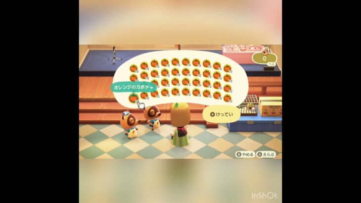 【あつ森】カボチャの結果　一か月野菜だけ収穫したらいくら稼げる？　#vlog #あつ森 #あつまれどうぶつの森 #こはくちゃんねる2424   #毎日更新　毎日更新中　 金を稼ぐ　ガチで稼げる