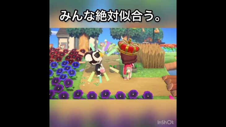 【あつ森】ひな祭りみんなにプレゼント　#vlog #あつ森 #あつまれどうぶつの森 #こはくちゃんねる2424