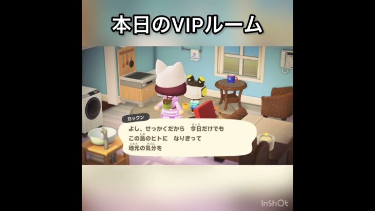 【観光客　あつ森ホテル】今日のお客様はカックン様　#vlog #あつ森 #あつまれどうぶつの森 #こはくちゃんねる2424  VIPルーム　 #毎日更新　毎日更新中