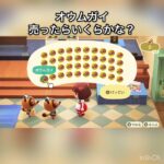 【あつ森】オウムガイ売ったらいくらかな？　#vlog #あつ森 #あつまれどうぶつの森 #こはくちゃんねる2424   #毎日更新　毎日更新中　金を稼ぐ　#animalcrossing