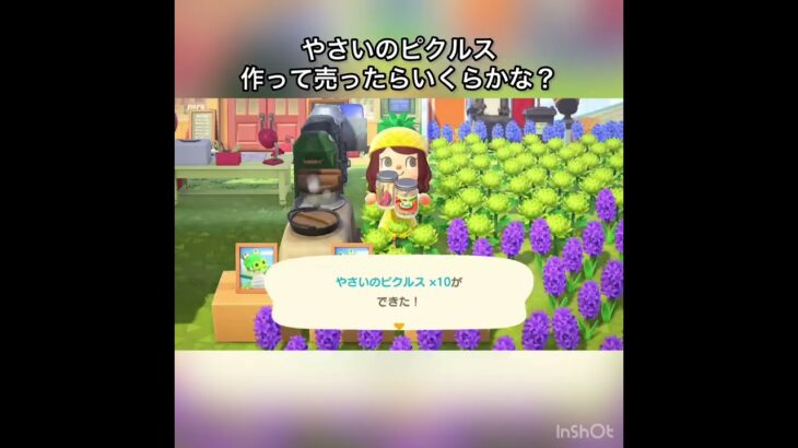 【あつ森】野菜のピクルス売ったらいくらかな？　#vlog #あつ森 #あつまれどうぶつの森 #こはくちゃんねる2424   #毎日更新　毎日更新中　金を稼ぐ　#animalcrossing
