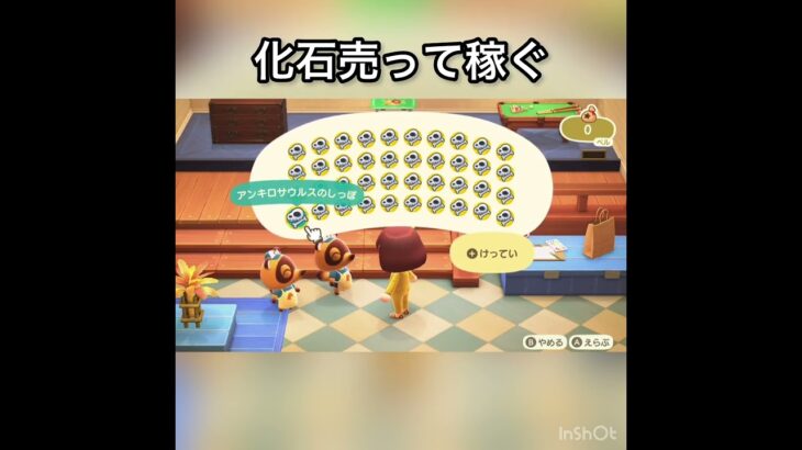 【あつ森】化石売ったらいくらかな？　#vlog #あつ森 #あつまれどうぶつの森 #こはくちゃんねる2424   #毎日更新　毎日更新中　金を稼ぐ　#animalcrossing