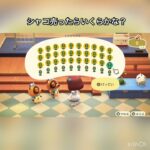 【あつ森】シャコ売ったらいくらかな？　#vlog #あつ森 #あつまれどうぶつの森 #こはくちゃんねる2424   #毎日更新　毎日更新中　金を稼ぐ　#animalcrossing