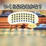 【あつ森】景気アップ条例　青いバラ売ったらいくらかな？　#vlog #あつまれどうぶつの森 #こはくちゃんねる2424   #毎日更新　毎日更新中　金を稼ぐ　#animalcrossing