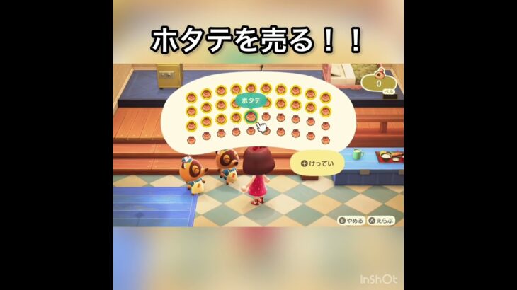 【あつ森】ホタテ売ったらいくらかな？　#vlog #あつ森 #あつまれどうぶつの森 #こはくちゃんねる2424   #毎日更新　毎日更新中　fruits sweets apple  金を稼ぐ