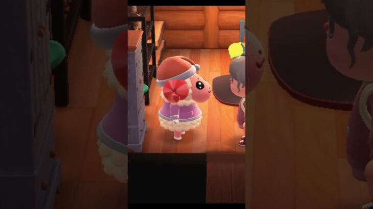 【あつ森】憂鬱な月曜日に励ましてくれるちゃちゃまるが優しい  #あつまれどうぶつの森  #あつ森ちゃちゃまる  #あつ森vlog