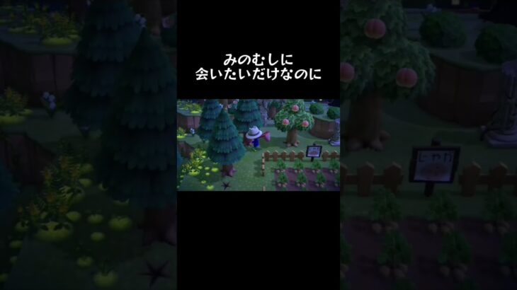 結果はお察しの通り#あつ森 #あつもり#あつまれどうぶつの森 #あつもりvlog