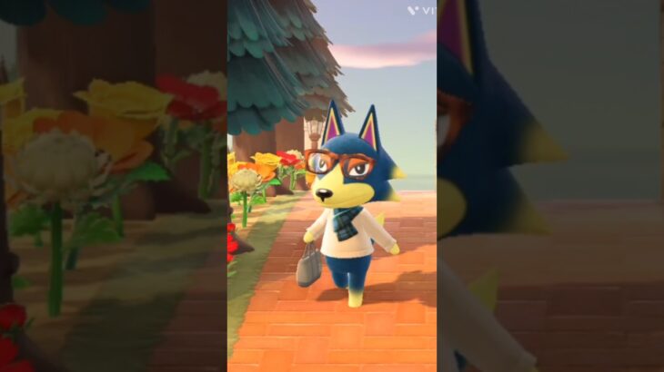 【あつ森日常】皆既月食を見た日✨#あつ森#あつ森vlog#オオカミ住人#皆既月食