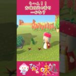 ひみつ島生活vol.17〜はにわ〜【進捗報告】 #あつ森 #あつまれどうぶつの森 #vtuber はにわの #豆知識